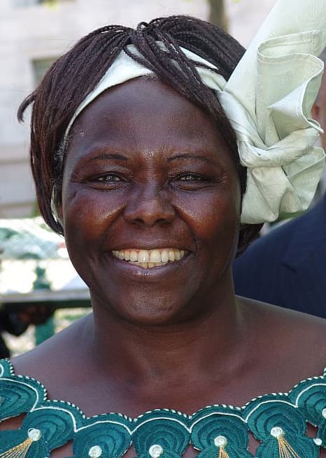 Wangari, la femme qui plantait